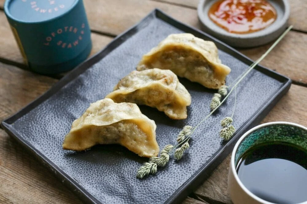 merevetika gyoza, gyoza retsept, Jaapani pelmeenid, merevetika retsept, tiivakelp, vegan gyoza, taimne pelmeen, kelp pelmeenid, gyoza valmistamine, aurutatud gyoza, praetud gyoza, Jaapani retseptid, seaweed dumplings, seaweed gyoza recipe, healthy gyoza, Lofoten Seaweed, Japanese dumpling, kelp recipe, vegan Japanese dumpling, easy gyoza recipe