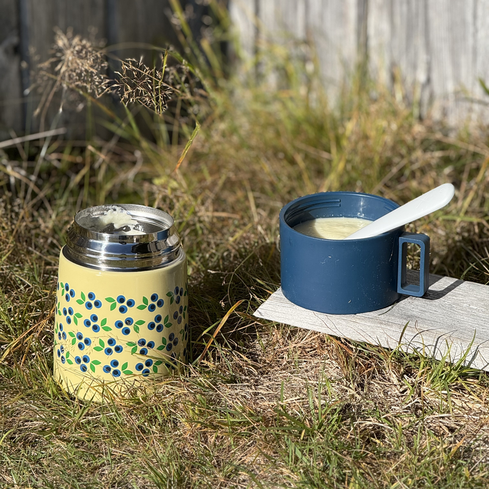 Toidutermos "Mustikas" Blafre 500ml